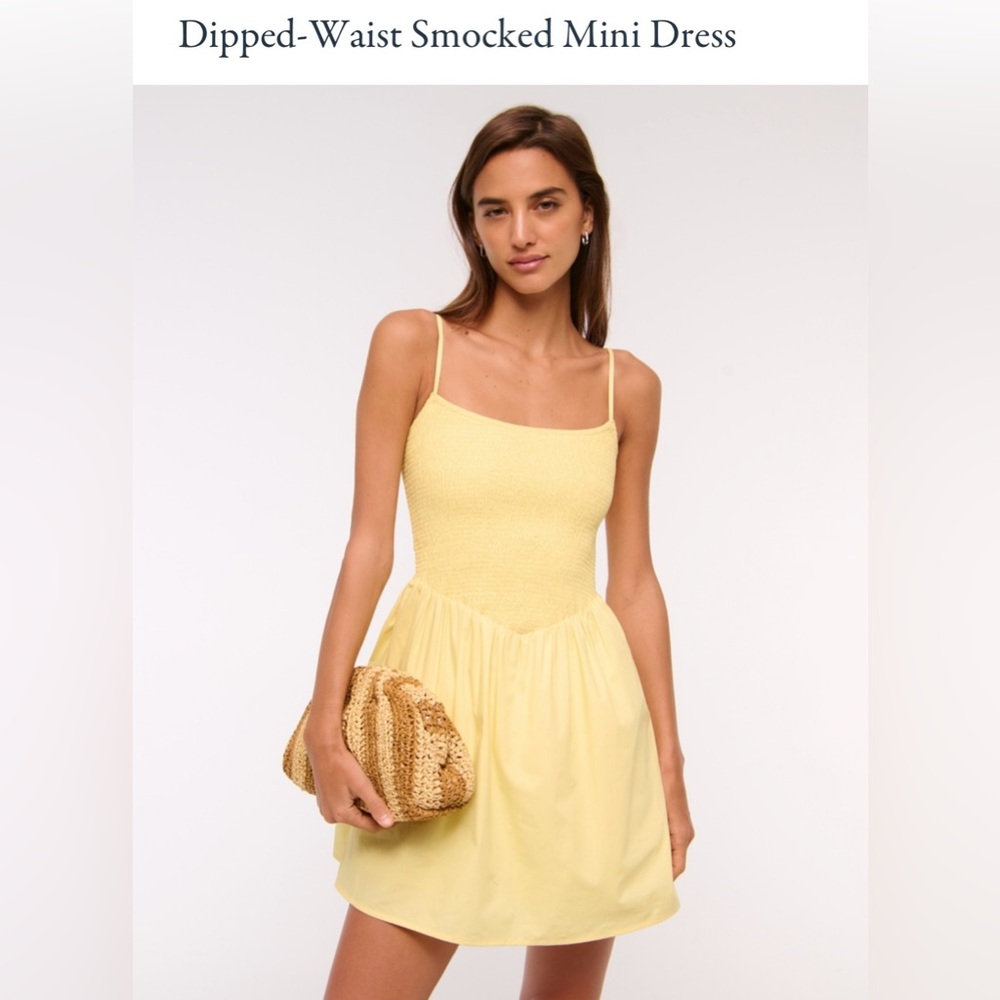 Abercrombie Dipped Waste Smocked Mini Dress